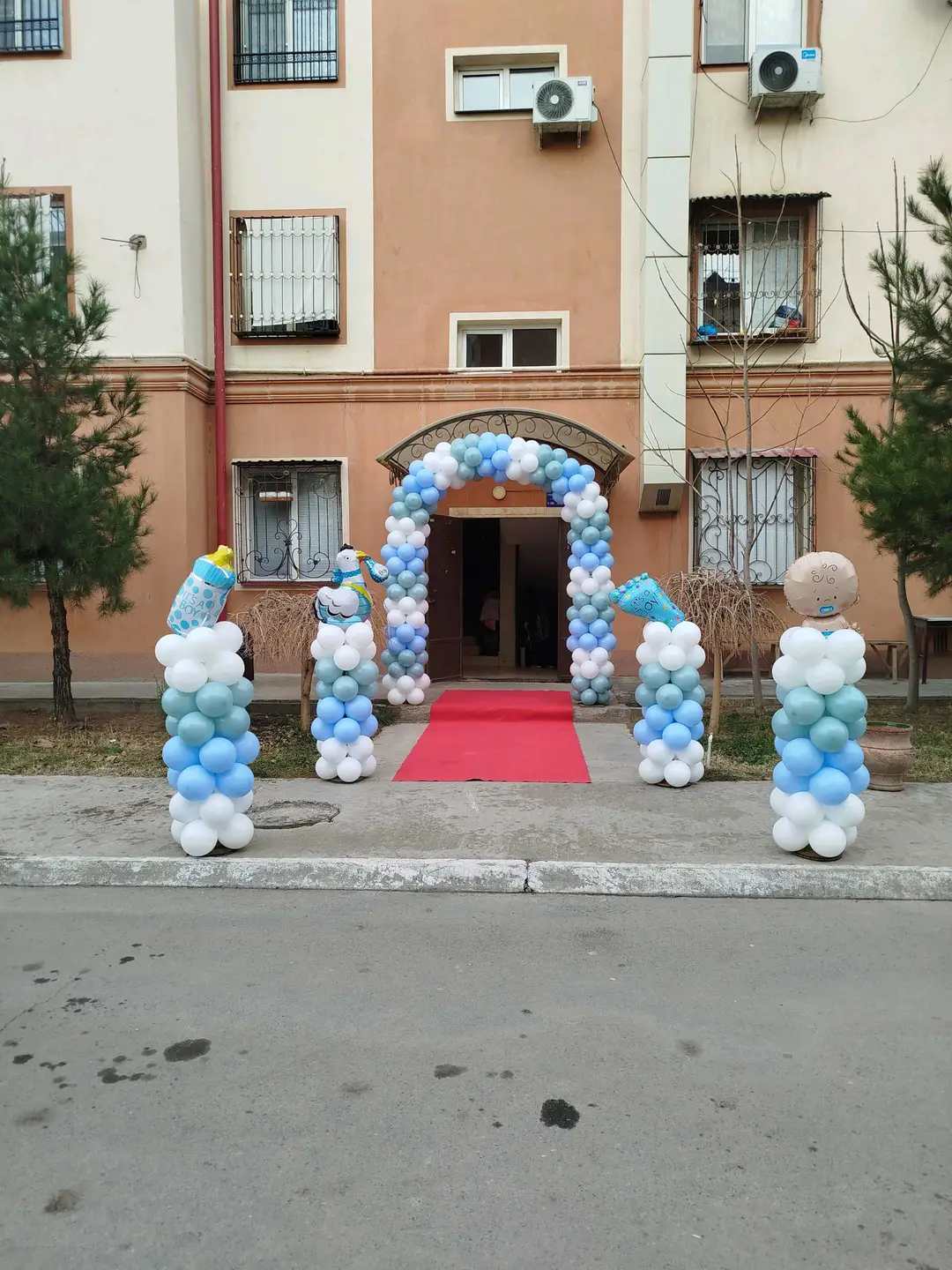 Image 5