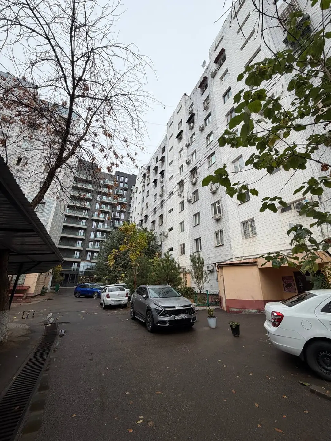 Image 10