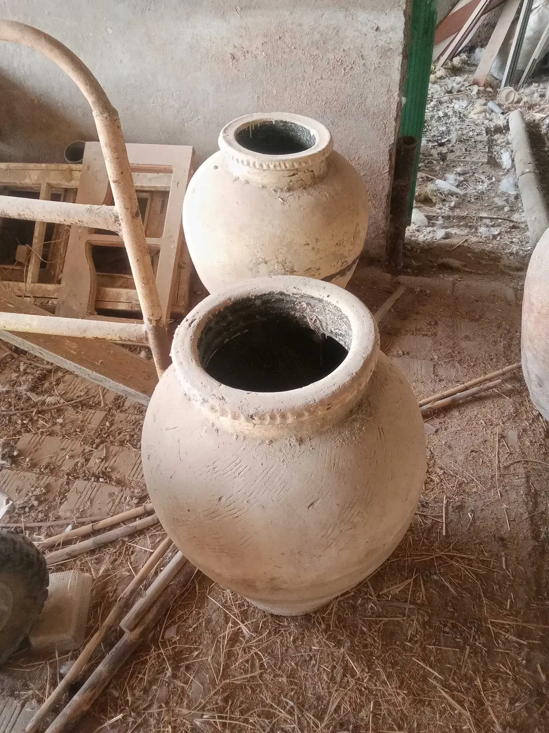 Image 6