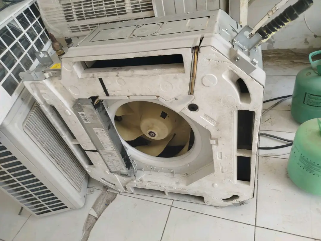 Image 7